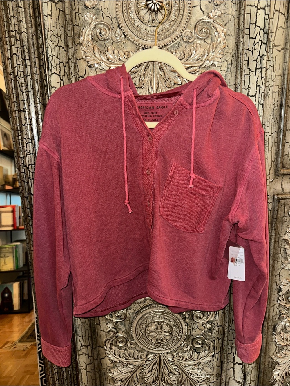 American Eagle Outfitters Cropped Henley Hoodie in Dusty Rose